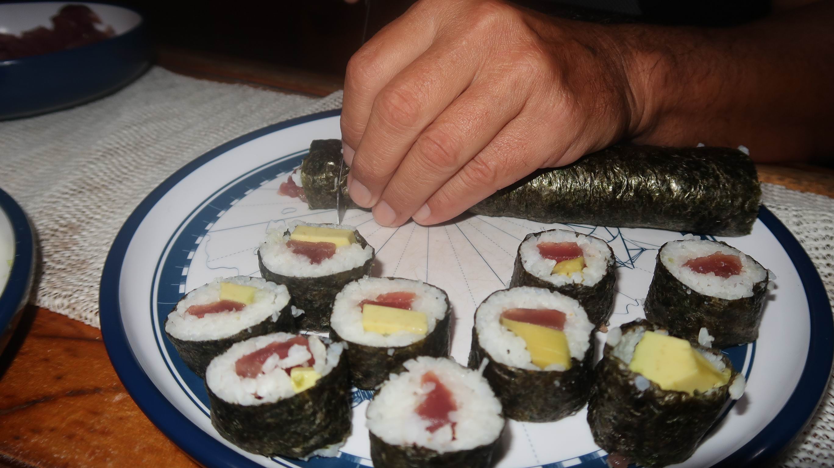 Galapagy Markezy 25