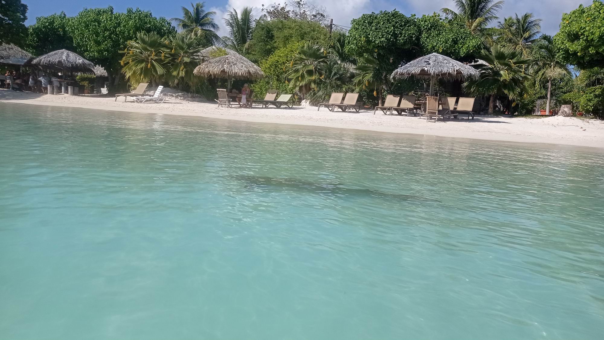 Markezy Tuamotu 043