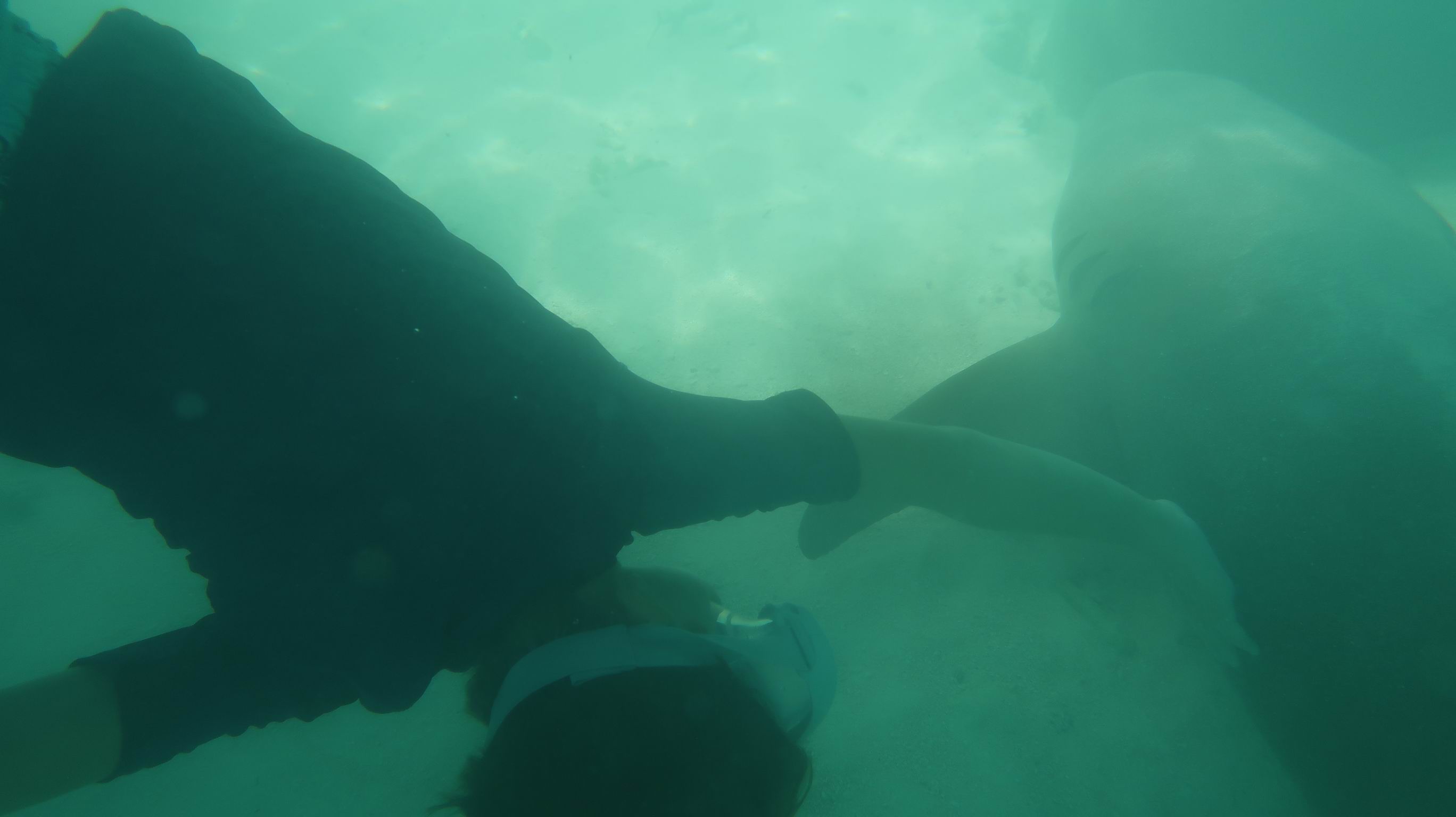 Markezy Tuamotu 067