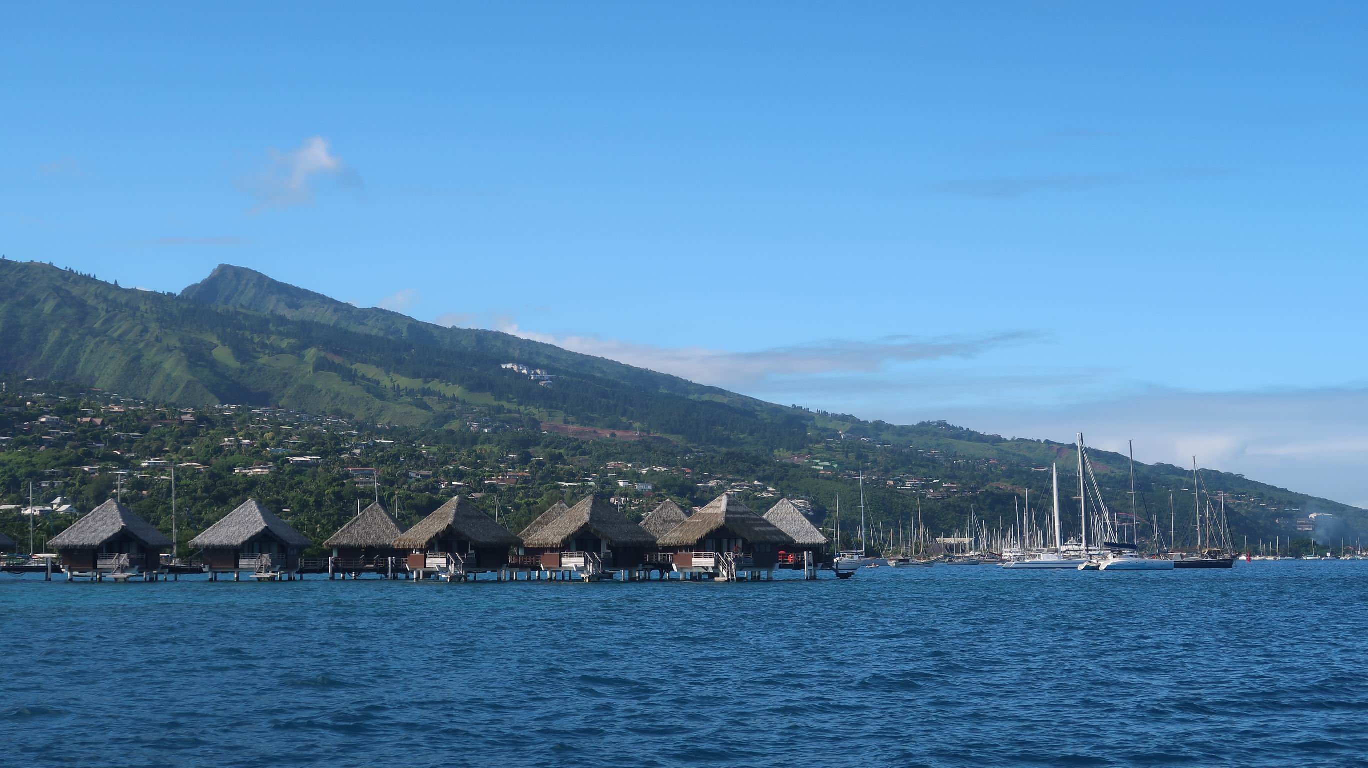 Markezy Tuamotu 133